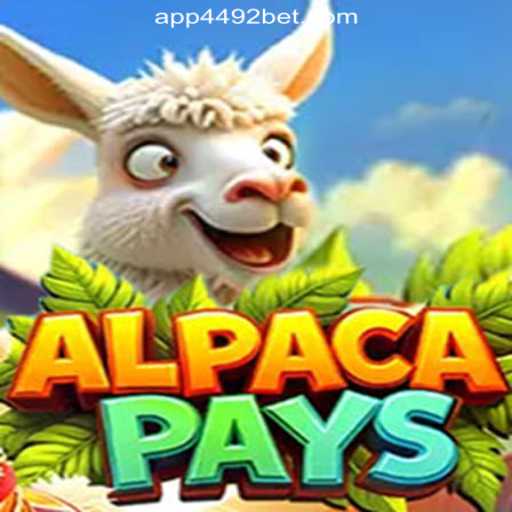 Discover the Exciting World of AlpacaPays at 4492Bet.com Online Cassino Brasil #1