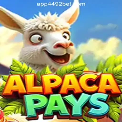 Discover the Exciting World of AlpacaPays at 4492Bet.com Online Cassino Brasil #1