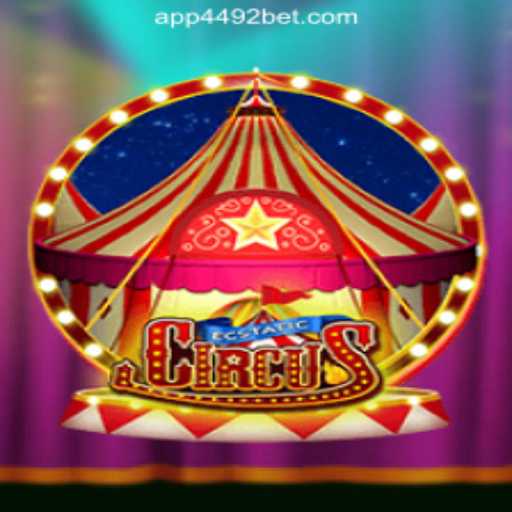Discover the Thrills of EcstaticCircus: The Heart of Entertainment