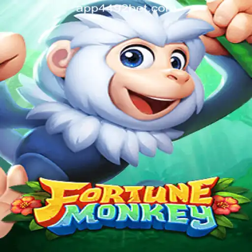 Discover FortuneMonkey: The Thrilling Online Casino Experience