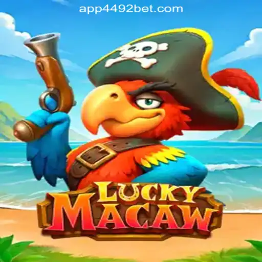 LuckyMacaw: The Premier Choice for Online Gaming in Brazil at 4492Bet.com