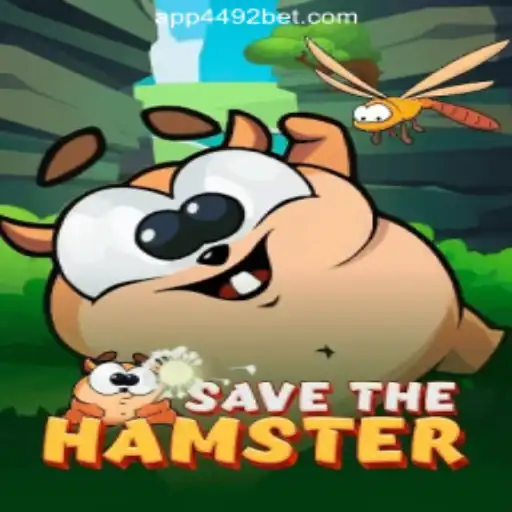 SavetheHamster: An Exciting New Game Experience